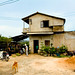 Long Phan Photo 17