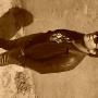 Manuel Carmona Photo 19