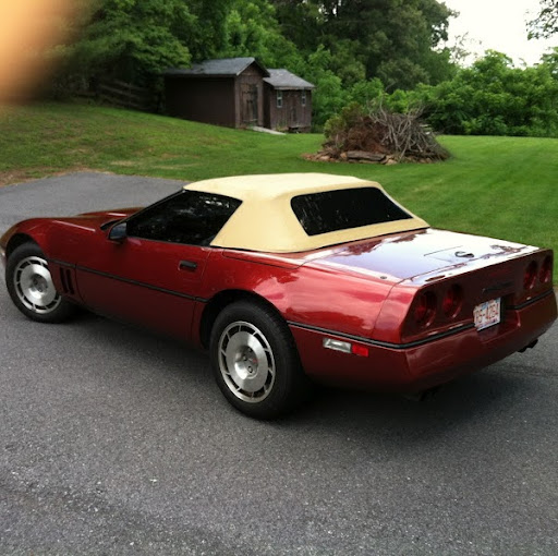 Sam Spector Photo 11 Sam Spector Photo 11