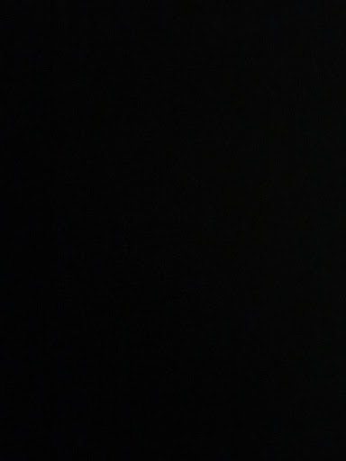 Roy Fleming Photo 11