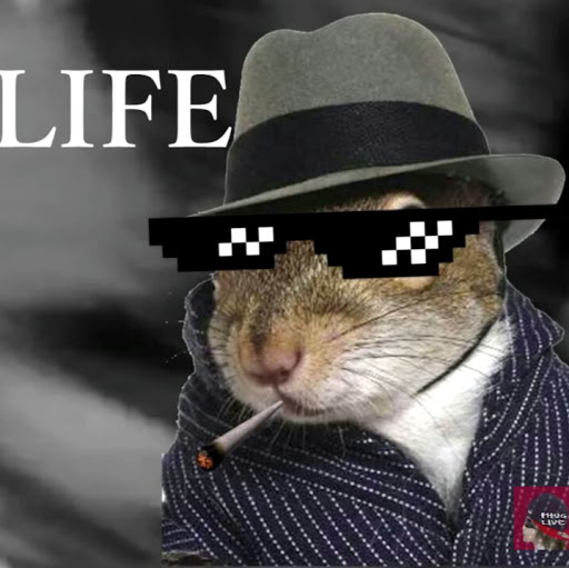 Ricardo Lozano Photo 24