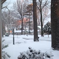 Susan Weidner Photo 21