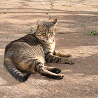 Peter Marx Photo 49 Peter Marx Photo 49