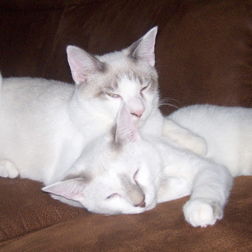 Peggy Summers Photo 20