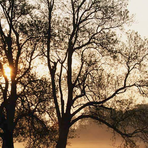 Jason Bourland Photo 8