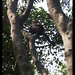 Edgardo Garcia Photo 14