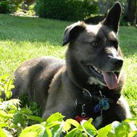 Tracy Sargent Photo 11