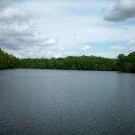 Wanda Sears Photo 21