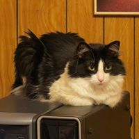 Cassie Rogers Photo 15