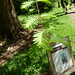 Dawn Cutler Photo 10