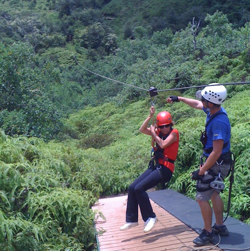 Stephanie Michel Photo 16