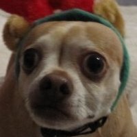 Troy Hamilton Photo 23