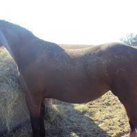 Mitchell Armstrong Photo 19