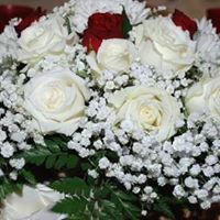 Deepa Subramanyam Photo 7