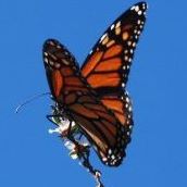 Catherine Chisholm Photo 8
