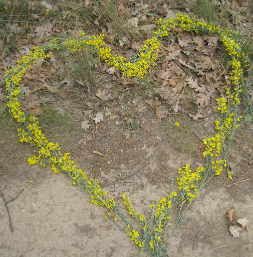 Aimee Rowe Photo 1
