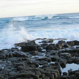 Sean Morton Photo 32