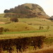 John Barbour Photo 32