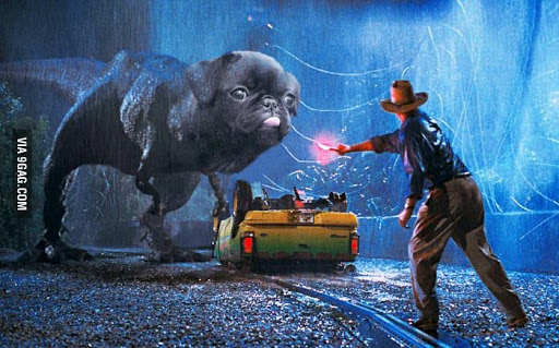 Michelle Pollard Photo 27