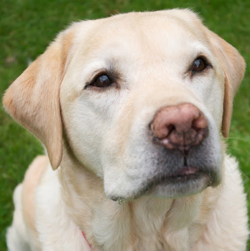 Carolyn Gordon Photo 27