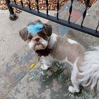 Lorene Ingram Photo 1