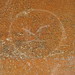 Ronald Aldrich Photo 22