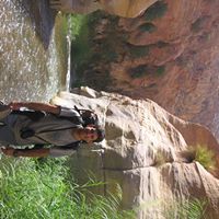 Moshe Weiss Photo 34