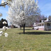 Gordon Brewer Photo 7