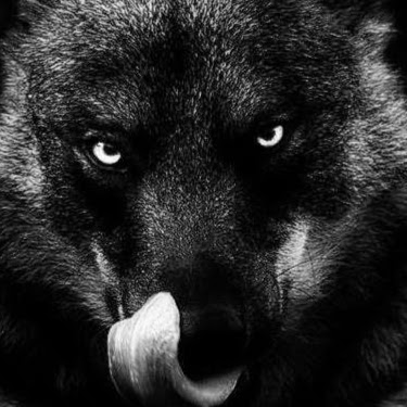 Diana Ayala Photo 36