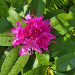 Mandy Sexton Photo 3