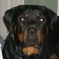 Kathy Garner Photo 12