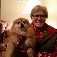 Diann Bailey Photo 8