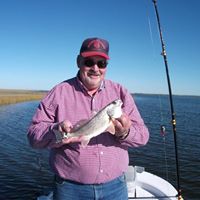 Gerald Stephens Photo 25