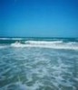 Sharon Buck Photo 47