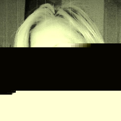 Susan Roebuck Photo 27