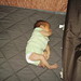 Audrey Cross Photo 12