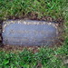 Robert Welsh Photo 17
