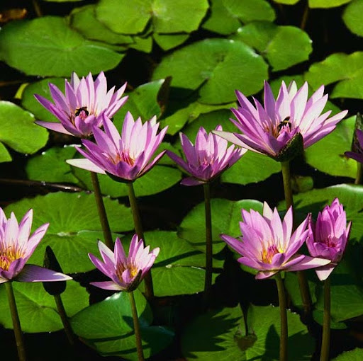 Tracey Sargent Photo 11