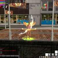 Alexander Duarte Photo 13