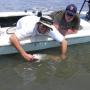 Steven Ewing Photo 16