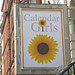 Patricia Phillips Photo 16