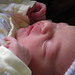 Elizabeth Rowan Photo 19