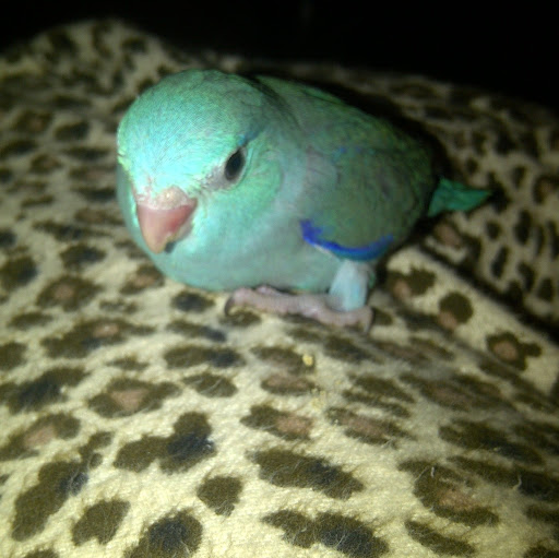 Kathy Copeland Photo 18