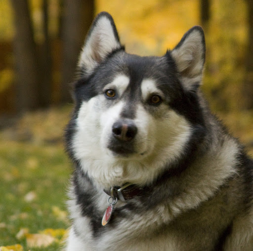 Jeremy Jensen Photo 17