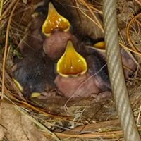 Pamela Herrmann Photo 16