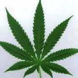 Walter Clements Photo 11