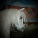 Debra Gray Photo 23