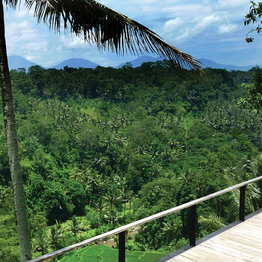 Belinda Walter Photo 16