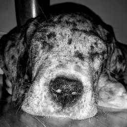 Sarah Westbrook Photo 12