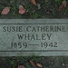 Catherine Whaley Photo 7